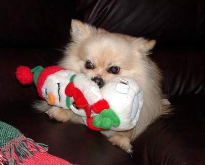 Merry Christmas �� ��