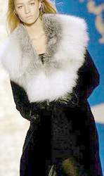Модное женское зимнее пальто 2006/2007