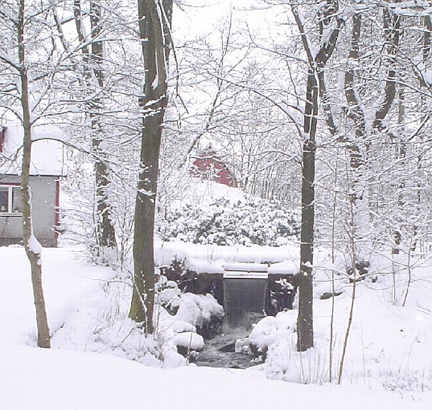 природа Швеции зимний пейзаж