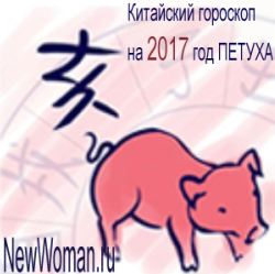 Китайский гороскоп на 2017 год Петуха для Свиньи