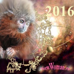 Гороскопы на 2016 год Обезьяны по знаку зодиака и году рождения