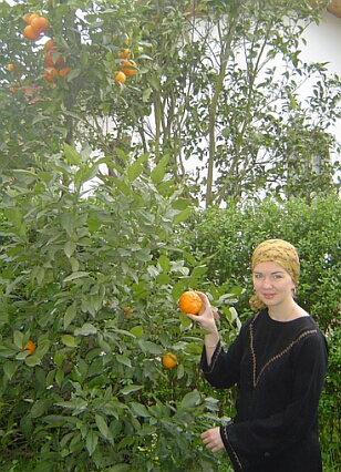 Иранские апельсины