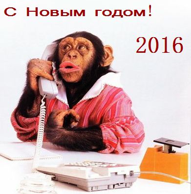 Год какого животного 2016 год