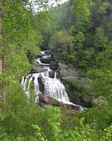 фото горной реки в национальном парке Great Smoky Mountains