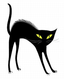 Кошки: приметы и суеверия
