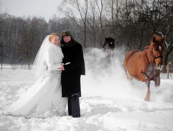 жених и невеста зимняя свадьба, лошадь, лес, сенг