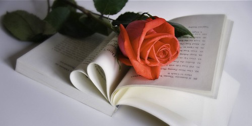 роза на открытой книге