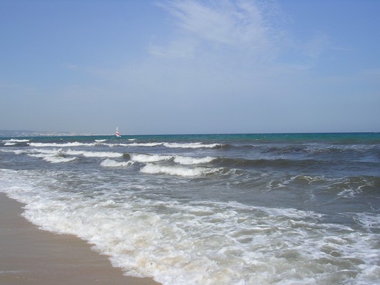 море в тунисе