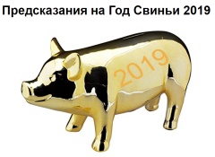 Предсказания на год Свиньи 2019