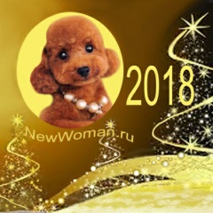 2018 год кого, какого животного по восточному календарю? Это животное - Желтая Земляная Собака!