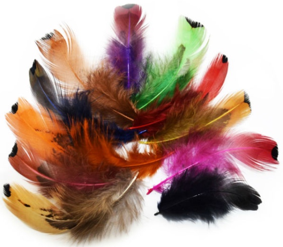Цветные перья для новогоднего декора в год Петуха