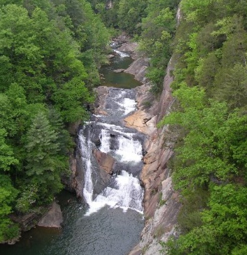 в национальном парке «Грейт Смоки Моунтинс» (Great Smoky Mountains)